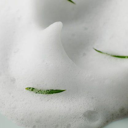 SOME BY MI AHA BHA PHA 30 Days Miracle Acne Clear Foam